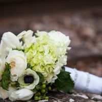 Show Me Your Bouquets