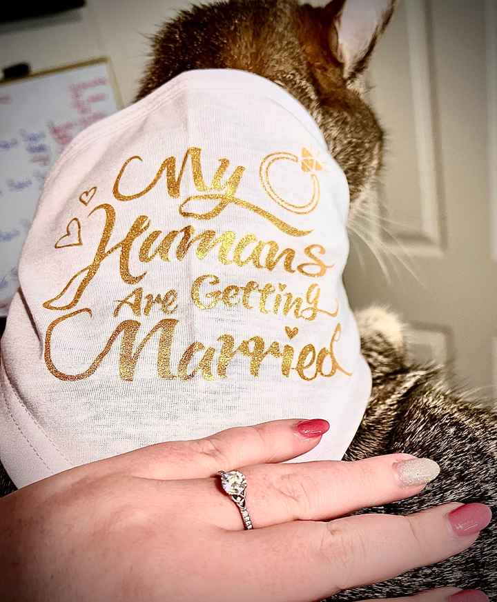 2024 Brides - Show us your ring! - 1