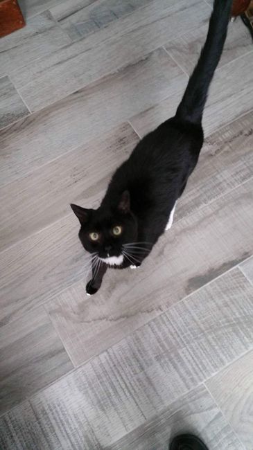 Let me see those fur babies!