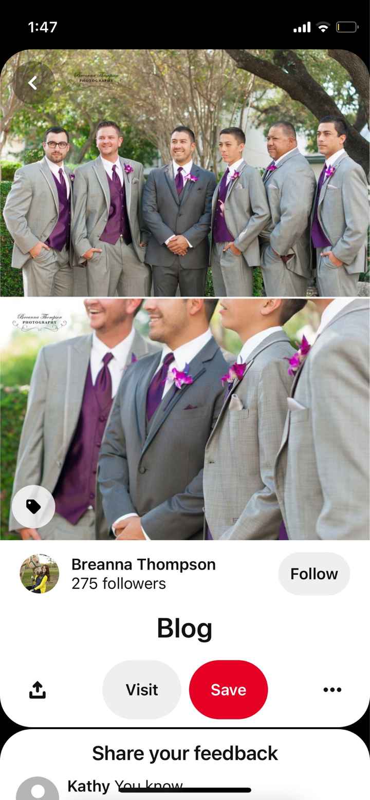 Colors for groomsmen tuxedo - 1