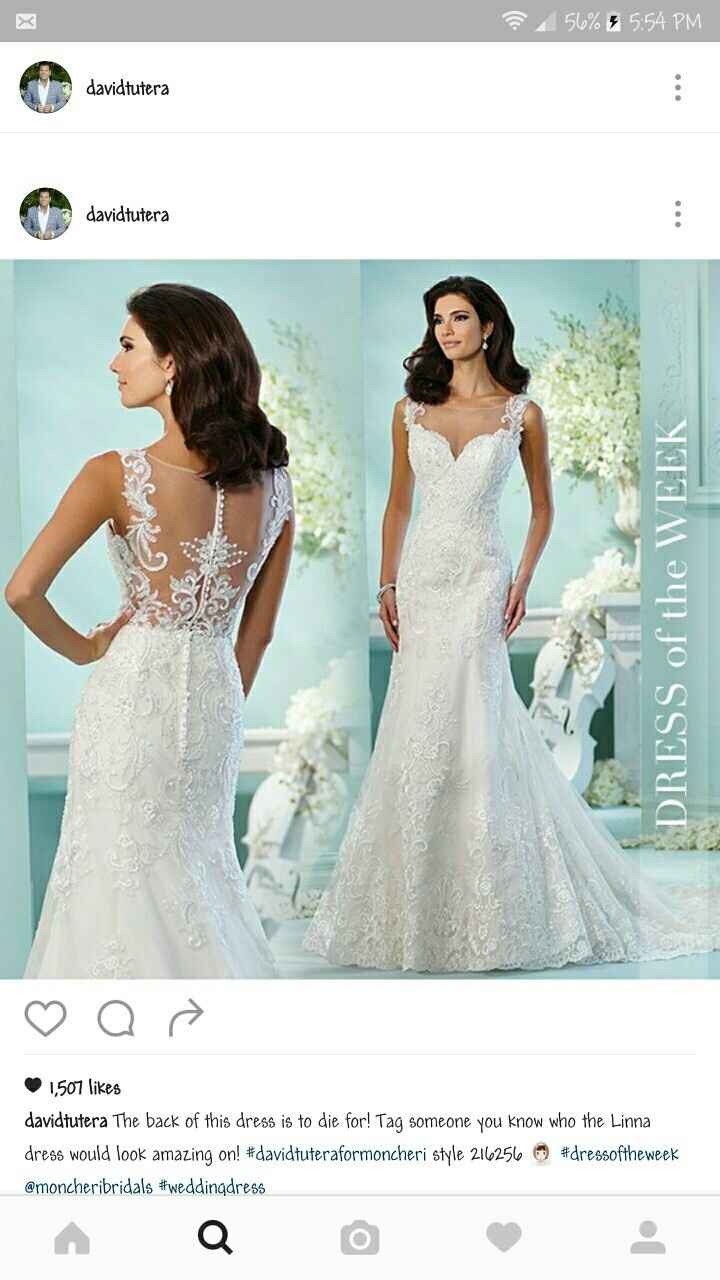 Torn between dressess