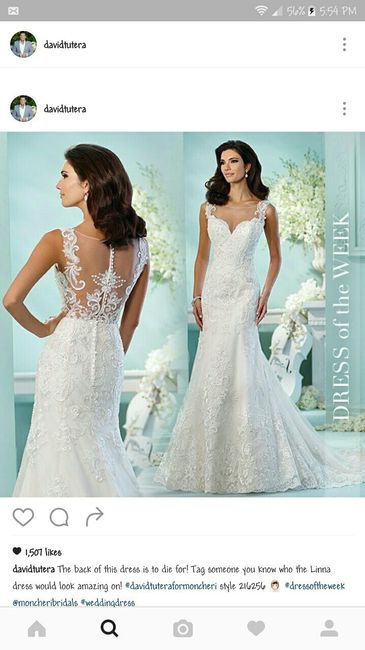Torn between dressess