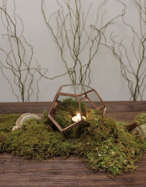 Need inspiration for centerpieces - 1