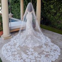 Help me find a veil! - 1