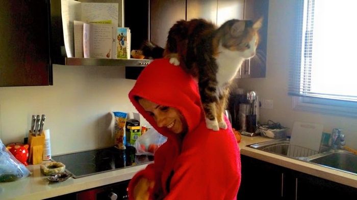 NWR: Name a weird/funny thing your pets do