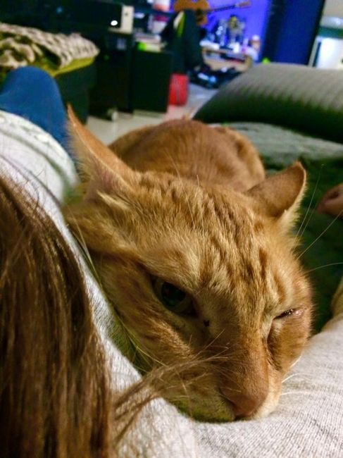 NWR: Saying Goodbye to My Kitty