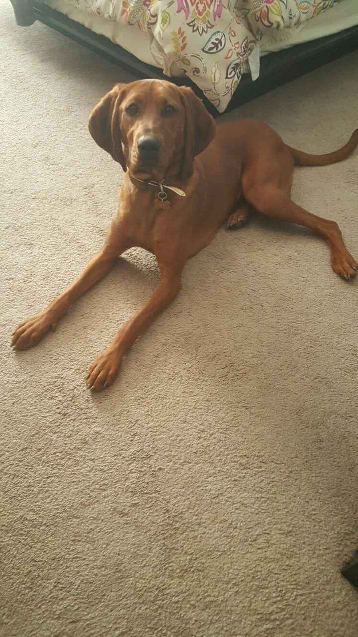 NWR: post pics of your pets!!