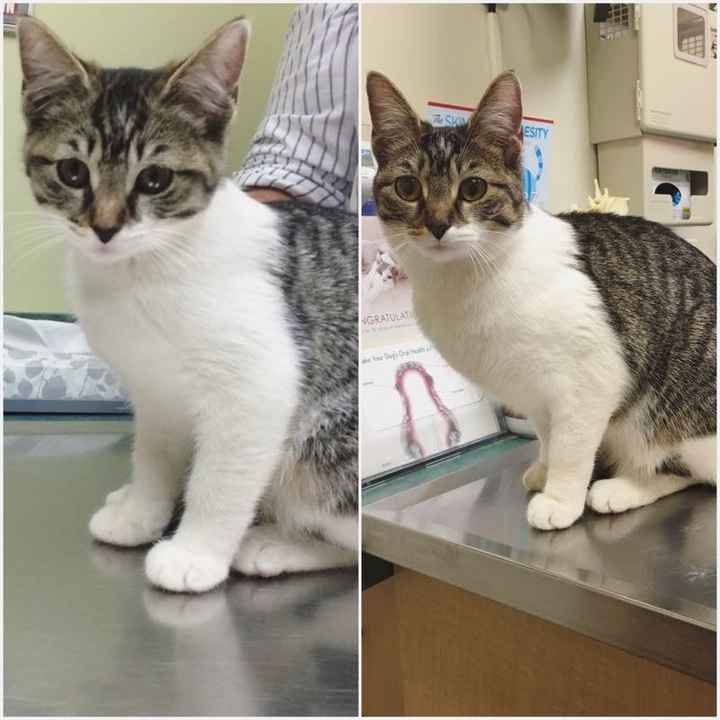 NWR Our newest addition to the family