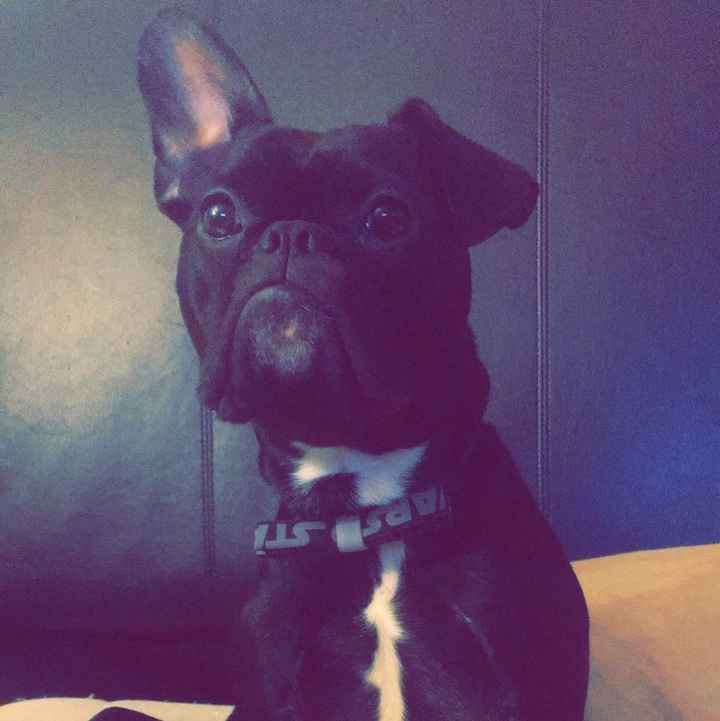 NWR: Losing our husky