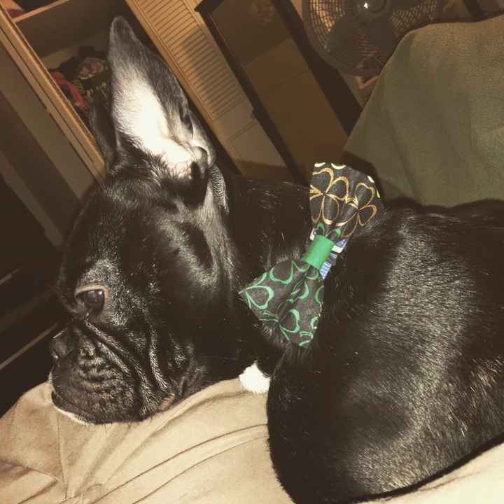 Happy St Patrick's Day! *Intro*