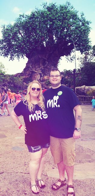Engagement Story!