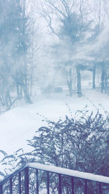 Nwr: stay safe northeast friends!