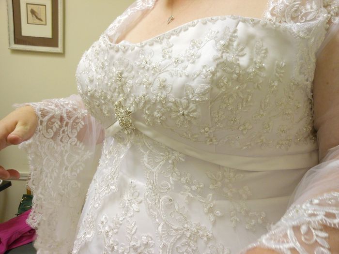 SHE IS HERE!!!!!!!!! MY DRESS IS HERE!!!!!!  (with pics!)