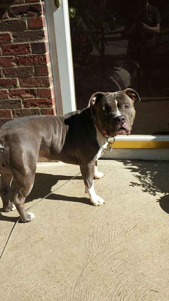 How did you choose your WW user name?