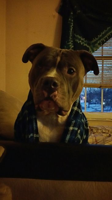 I LOVE my fur baby!