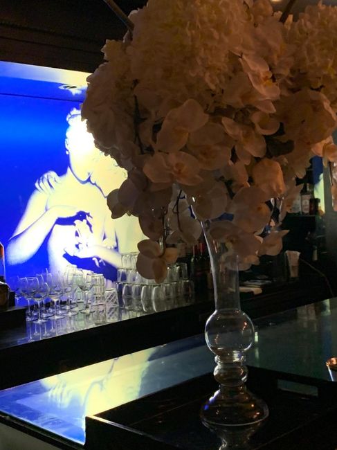 Sophisticated Elegance 