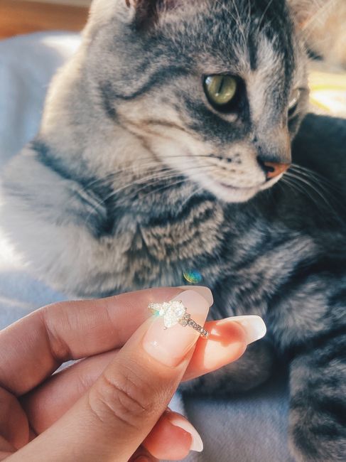 Brides of 2022! Show us your ring! 10