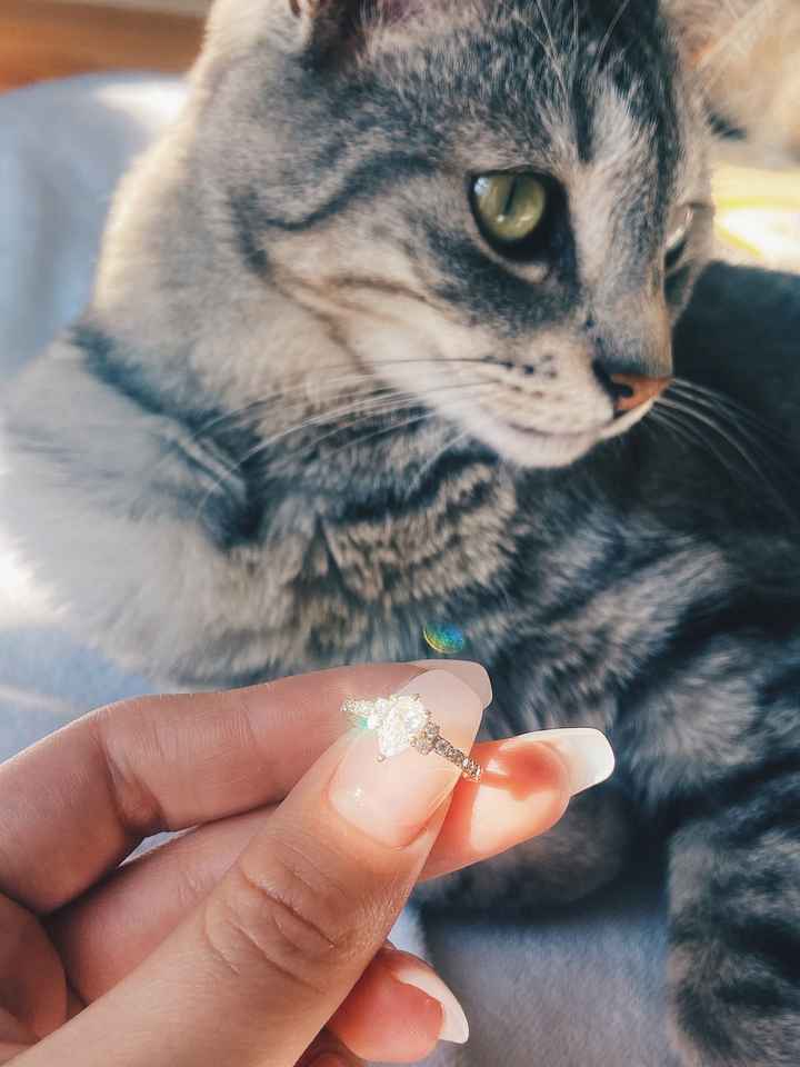 Brides of 2022! Show us your ring! - 1