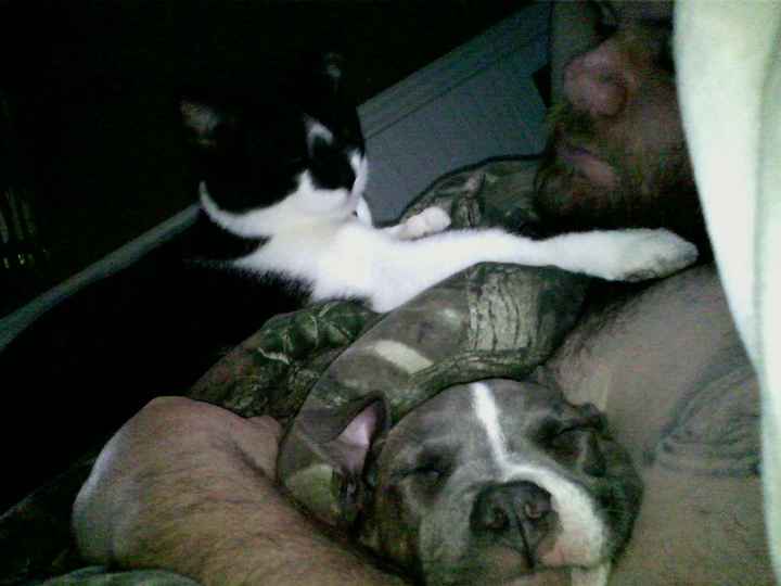 Show mee yourrr…..