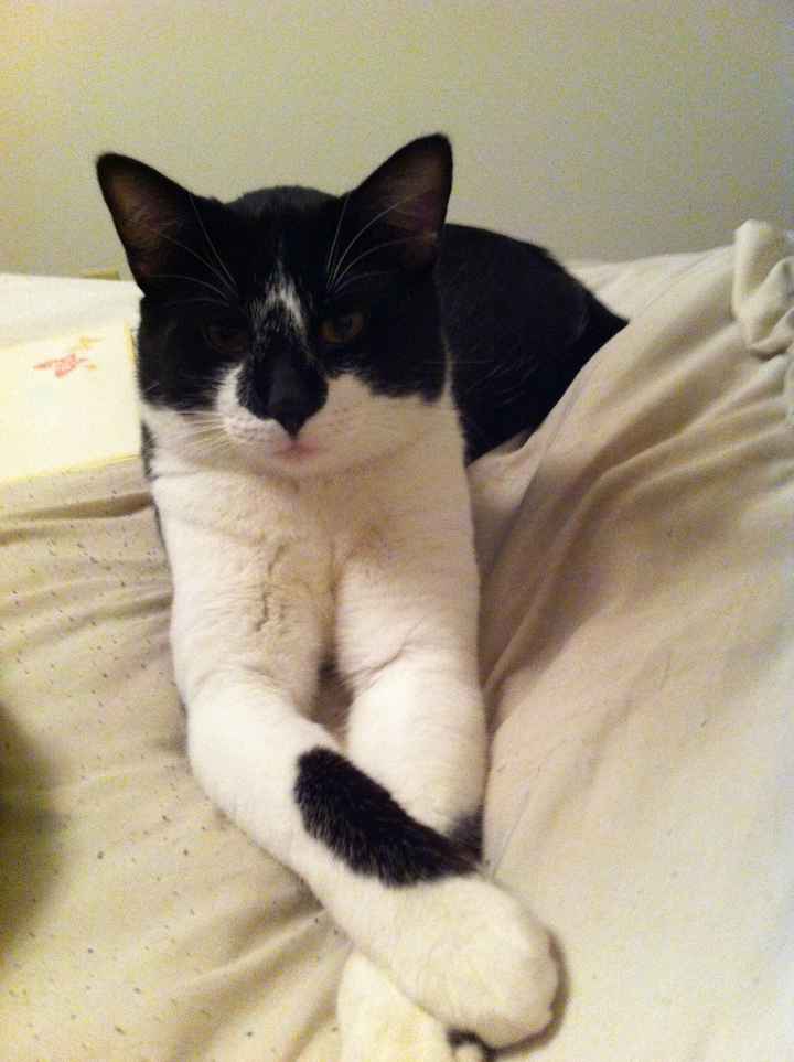 Show mee yourrr…..