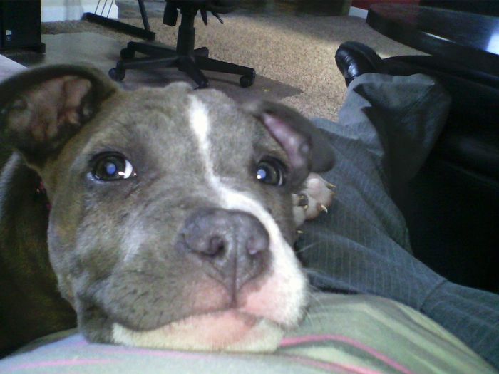 Show mee yourrr…..