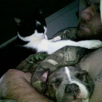 Show mee yourrr…..