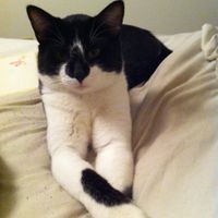 Show mee yourrr…..