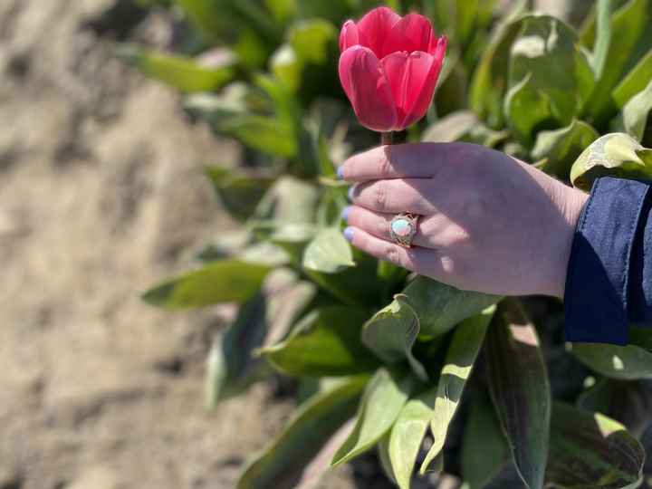 2023 Brides - Show us your ring! - 1
