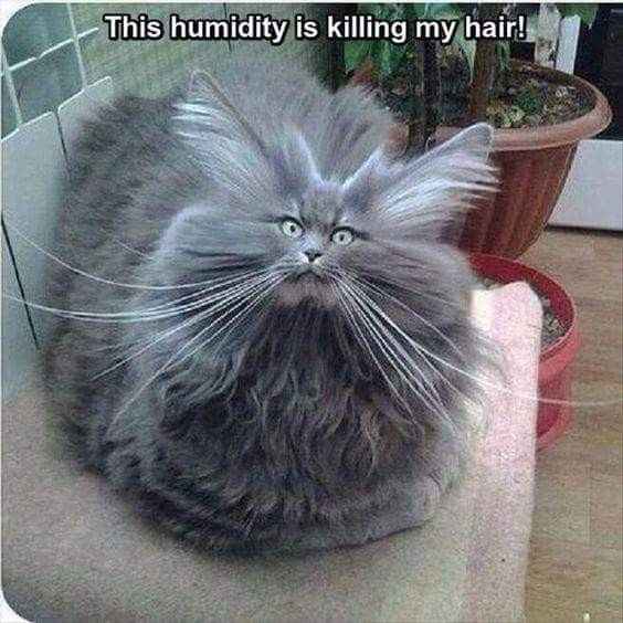 NWR: Oh the humidity!