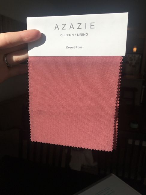 Azazie Desert Rose - 2
