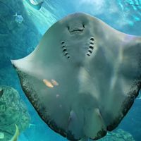 Favorite Relationship Memories - not wedding related! - 3