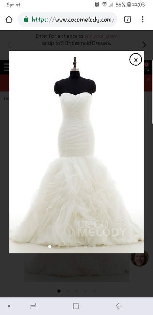 Wedding Dress Dilemma 2