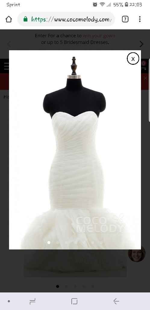 Wedding Dress Shopping Frustrations? - 2