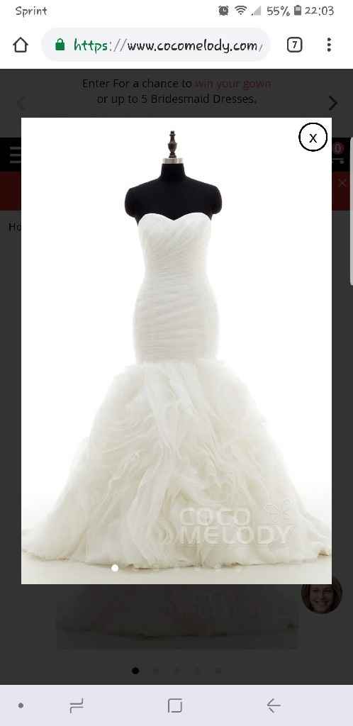 Wedding Dress Dilemma - 2