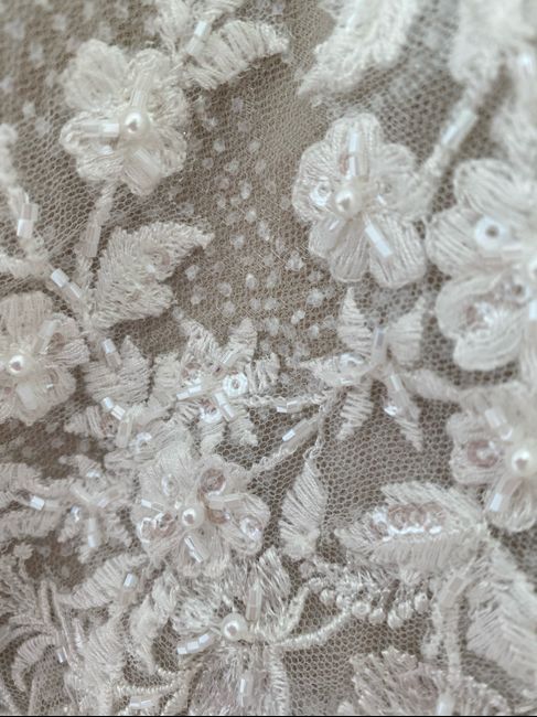 Accessory Opinion Needed! 2