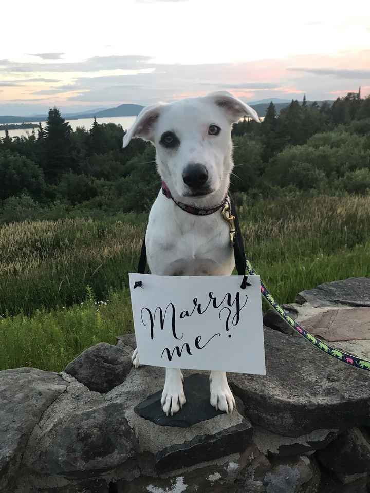 Brides of 2020!  Show us your ring! - 3