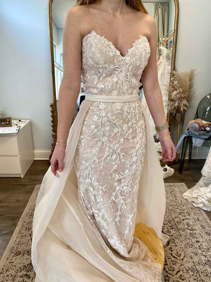 Torn Between Two Dresses! - 2