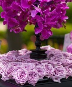 Florist meeting this weekend and no idea what flowers!!