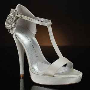 Wedding Shoe Color...