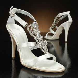 Wedding Shoe Color...