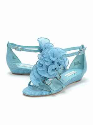 Wedding Shoe Color...