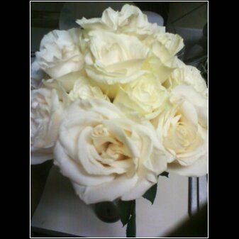 Each Day Is Valentine's Day!