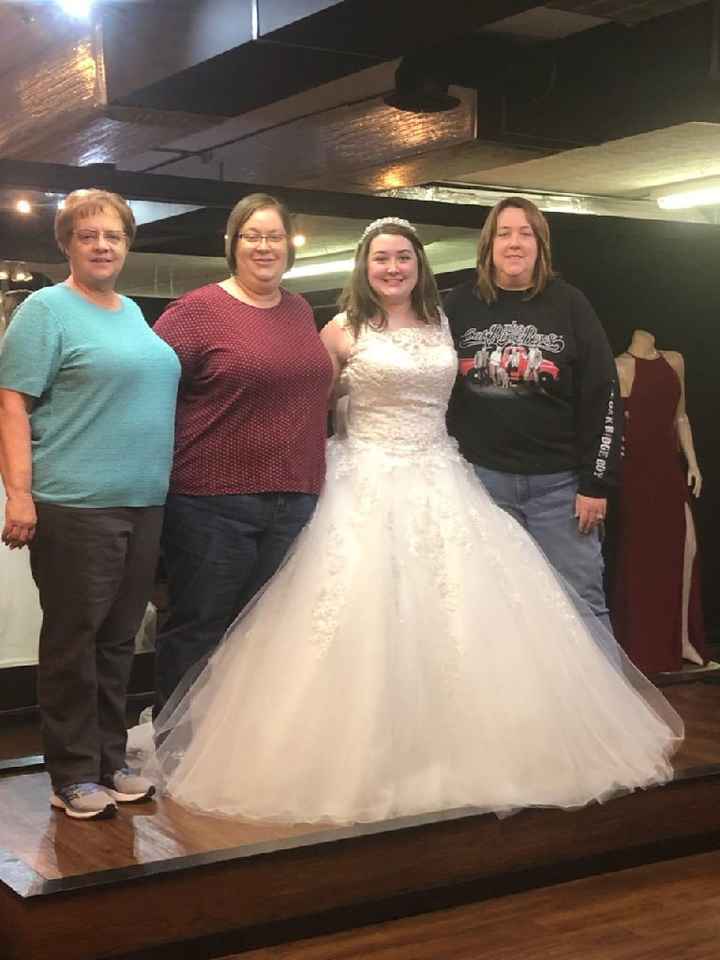 Wedding Dress Silhouettes! Ballgown, Mermaid, or Sheath? - 1