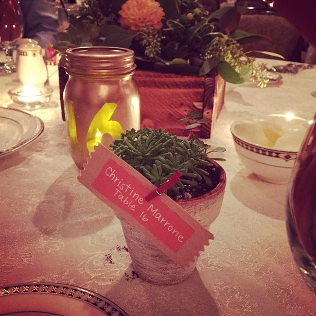 Plant Favors??