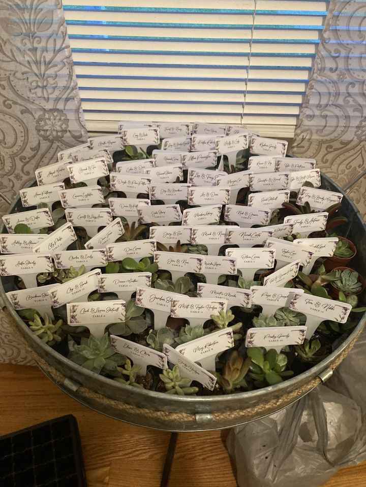 Brides on a budget 2