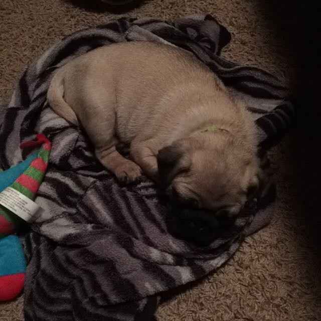 NWR- let me see your fur babies, awake and scared