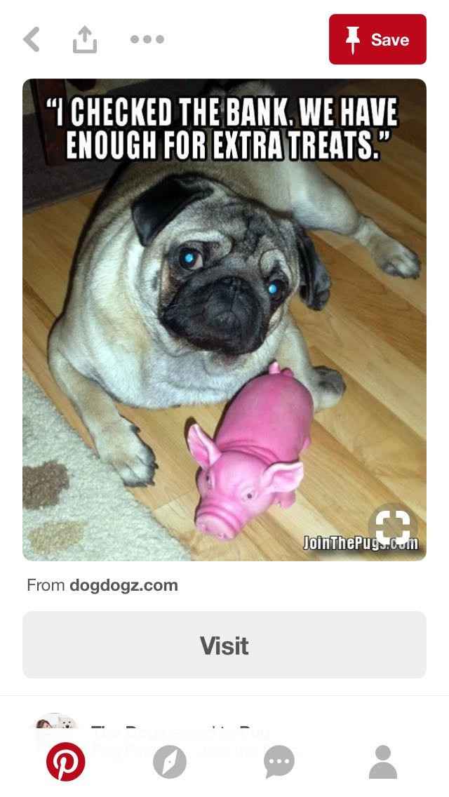 NWR - What's the last meme you saved?