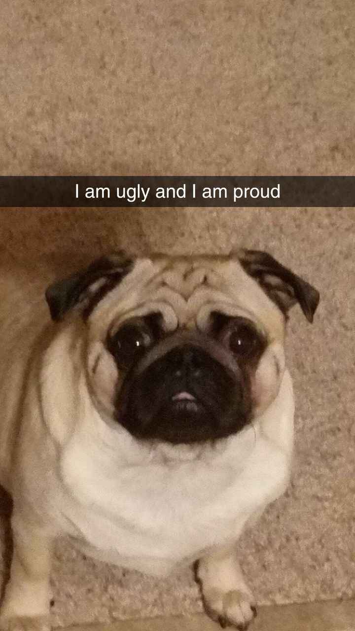 NWR:  Show me your fur babies!