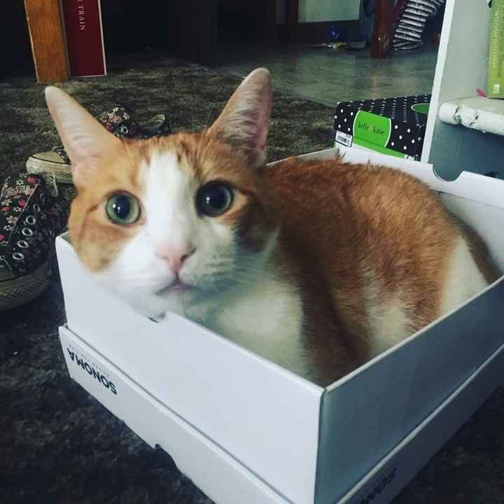 Fun Reminders on this Crazy Tuesday