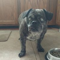 NWR: Show me your fur babies